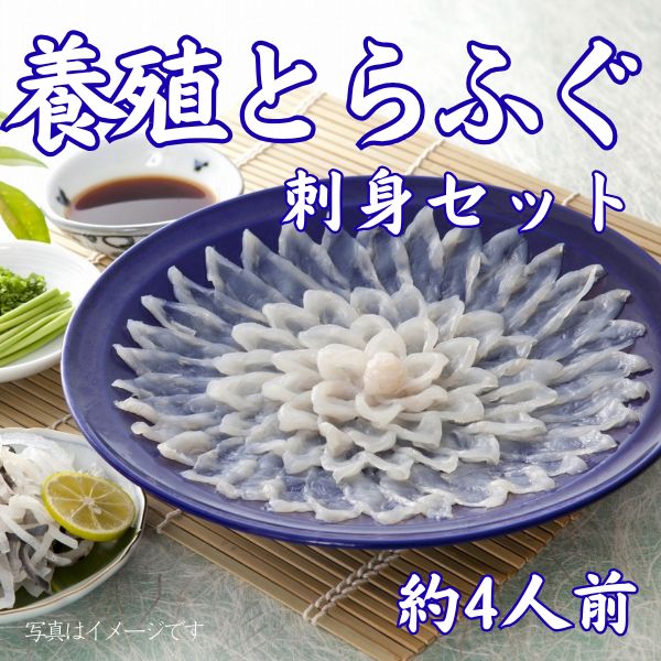 26.　養殖とらふぐ刺身セット150g（約4人前）＜チルド商品＞