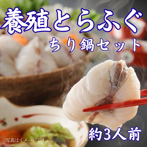 33.　養殖とらふぐちり鍋セット400g（約3人前）＜冷凍商品＞