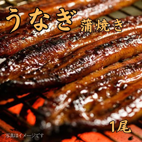 山賀ネットショップ / 914. 鹿児島県産うなぎ蒲焼き 1尾 ＜冷凍商品＞