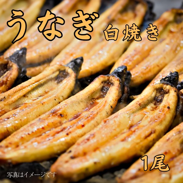 915. 鹿児島県産うなぎ白焼き 1尾　＜冷凍商品＞