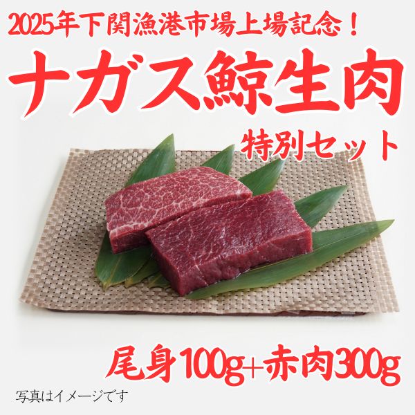 数量限定!!【下関漁港市場・ナガス鯨生肉上場記念!】 生ナガス鯨尾身(100g)・赤肉(300g)特別セット <チルド商品>