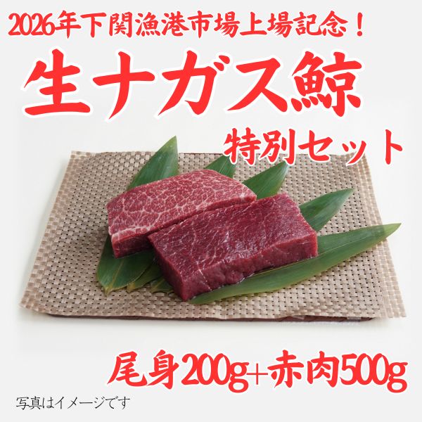 数量限定！！【下関漁港市場・ナガス鯨生肉上場記念！】 生ナガス鯨特別セット　＜チルド商品＞